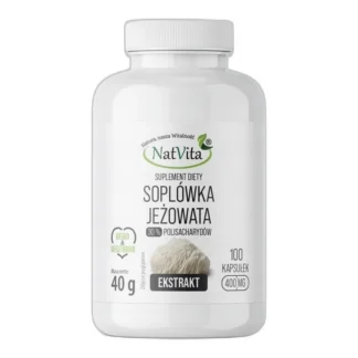 Soplówka Jeżowata Grzyb Mielony Pamięć Koncentracja Kapsułek NatVita 100 — zdjęcie 1